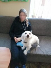 пет-терапия