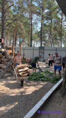 Трудотерапия