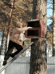 пет-терапия