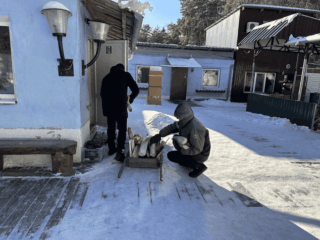 Трудотерапия