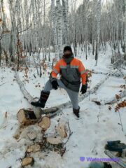 Трудотерапия