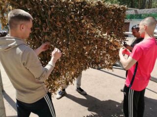Трудотерапия