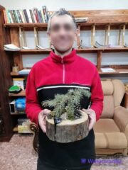 Арт-терапия