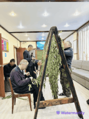 трудотерапия, сети СВО